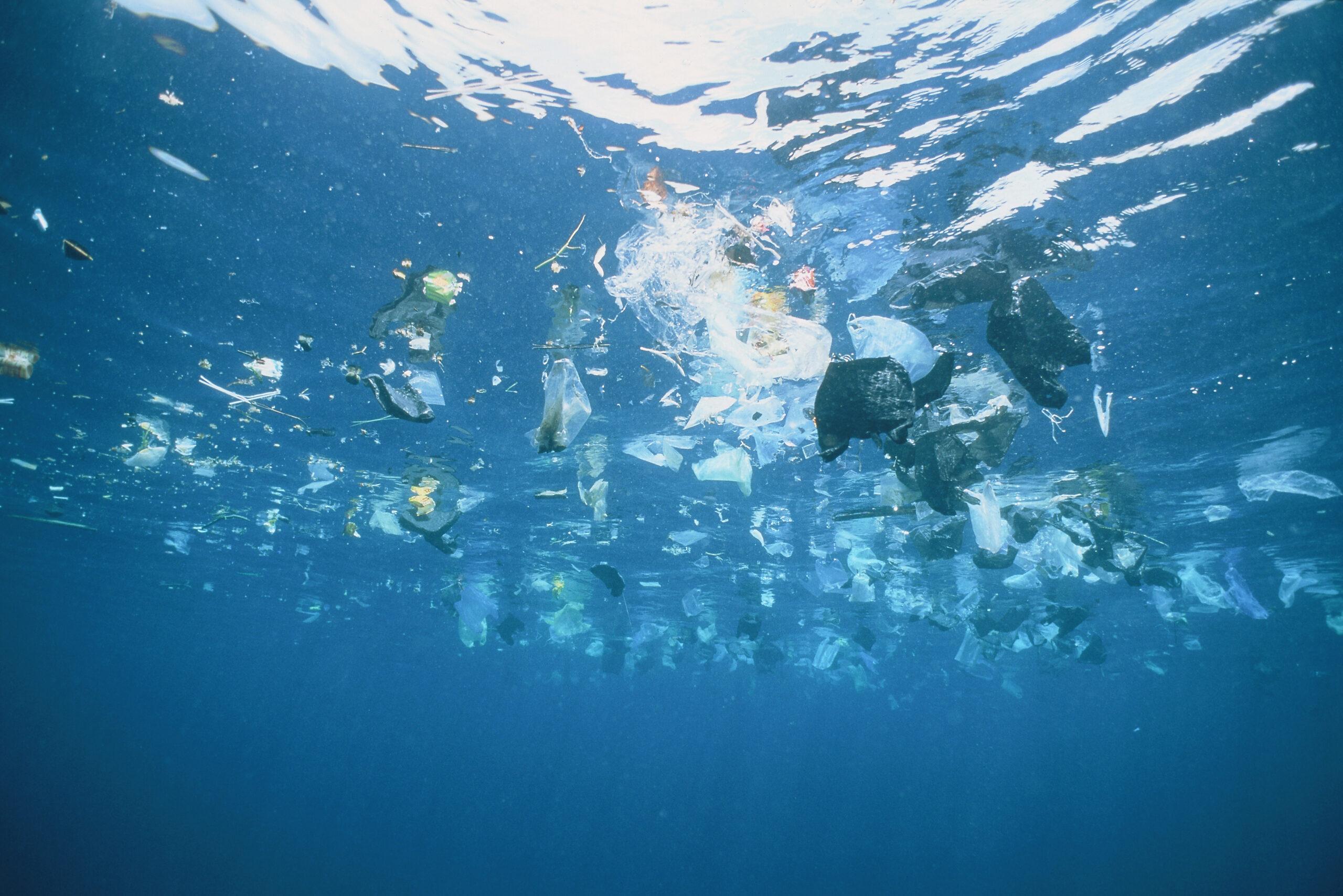 Rapporten Rätt plast på rätt plats går på djupet om plastens miljöpåverkan, och hur vi ska ta oss till en mer hållbar plastanvändning.