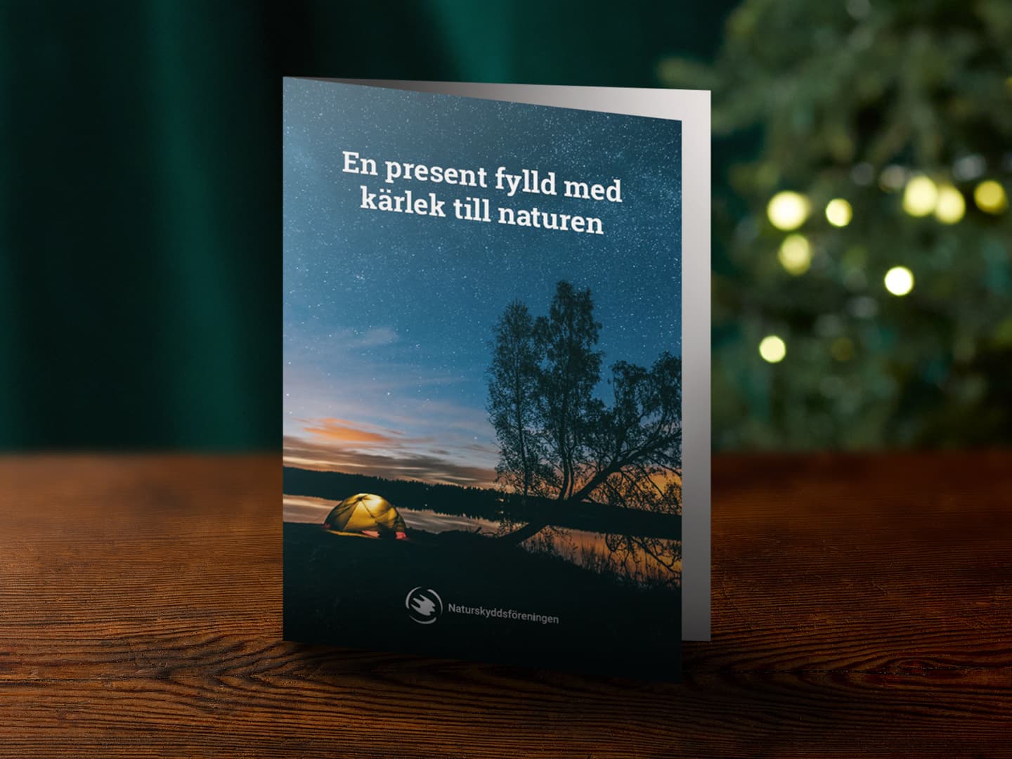 Presentmedlemskap ungdom