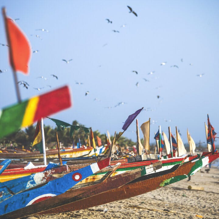Afrika, Senegal, Båtar, Fiske, Fiskare, Småskaligt, Traditionellt, Sandstrand, Fåglar, Gambia