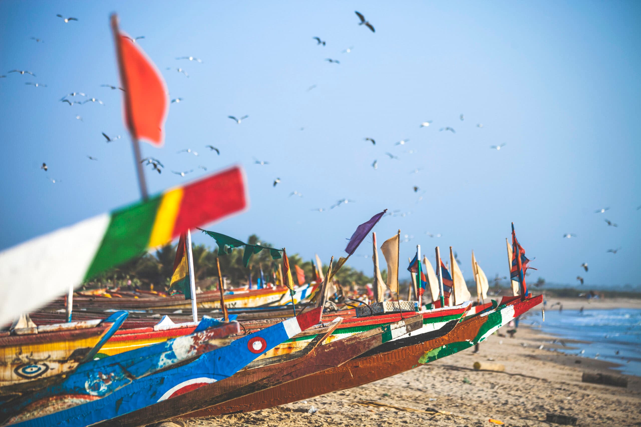 Afrika, Senegal, Båtar, Fiske, Fiskare, Småskaligt, Traditionellt, Sandstrand, Fåglar, Gambia