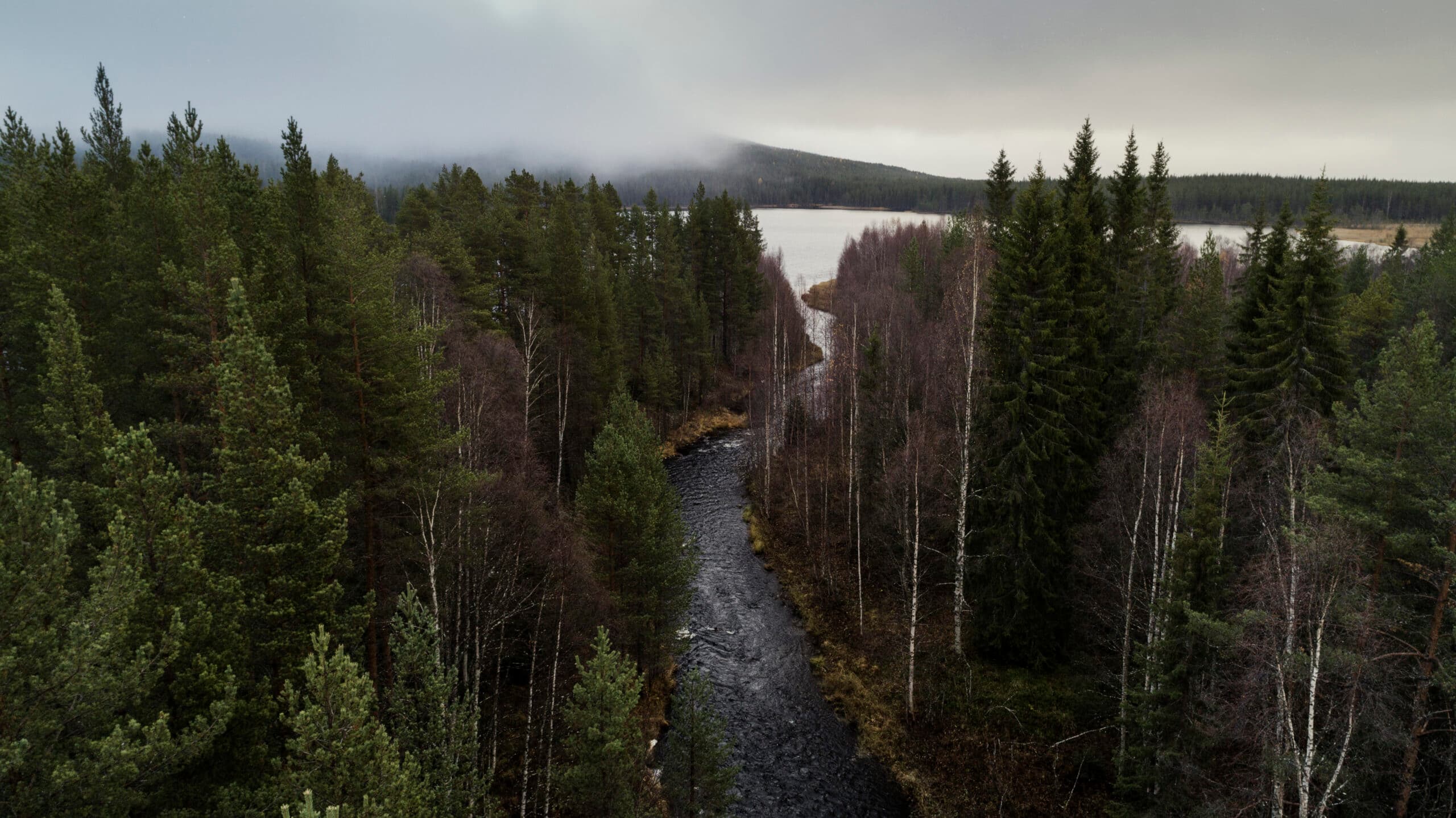 skog, blandskog, barrskog, Natur, Vatten, Vattendrag, Sjö, Älv, Flod, Norrbotten, Laver