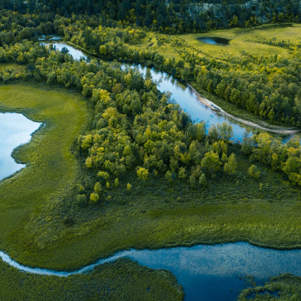 skog, å, träd, vatten, ovanifrån, grönt, våtmark, 1176867660