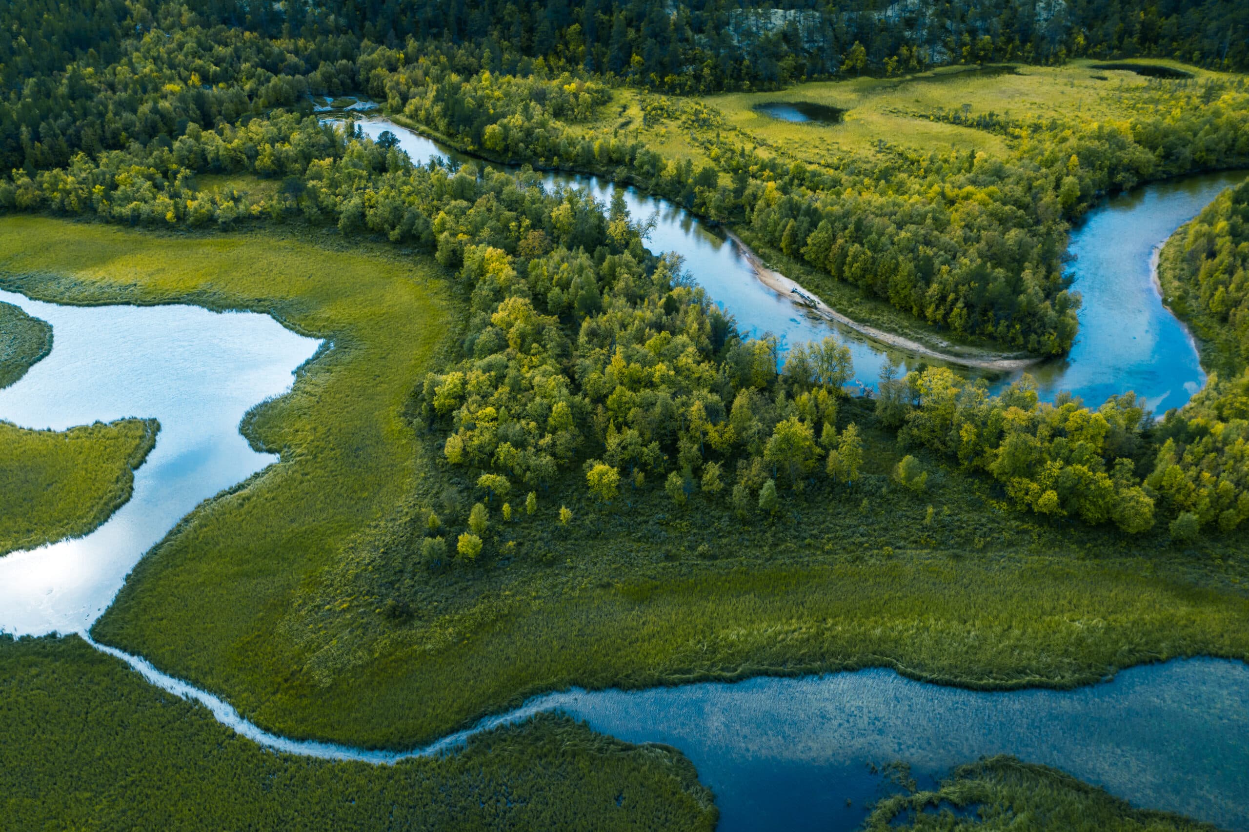 skog, å, träd, vatten, ovanifrån, grönt, våtmark, 1176867660