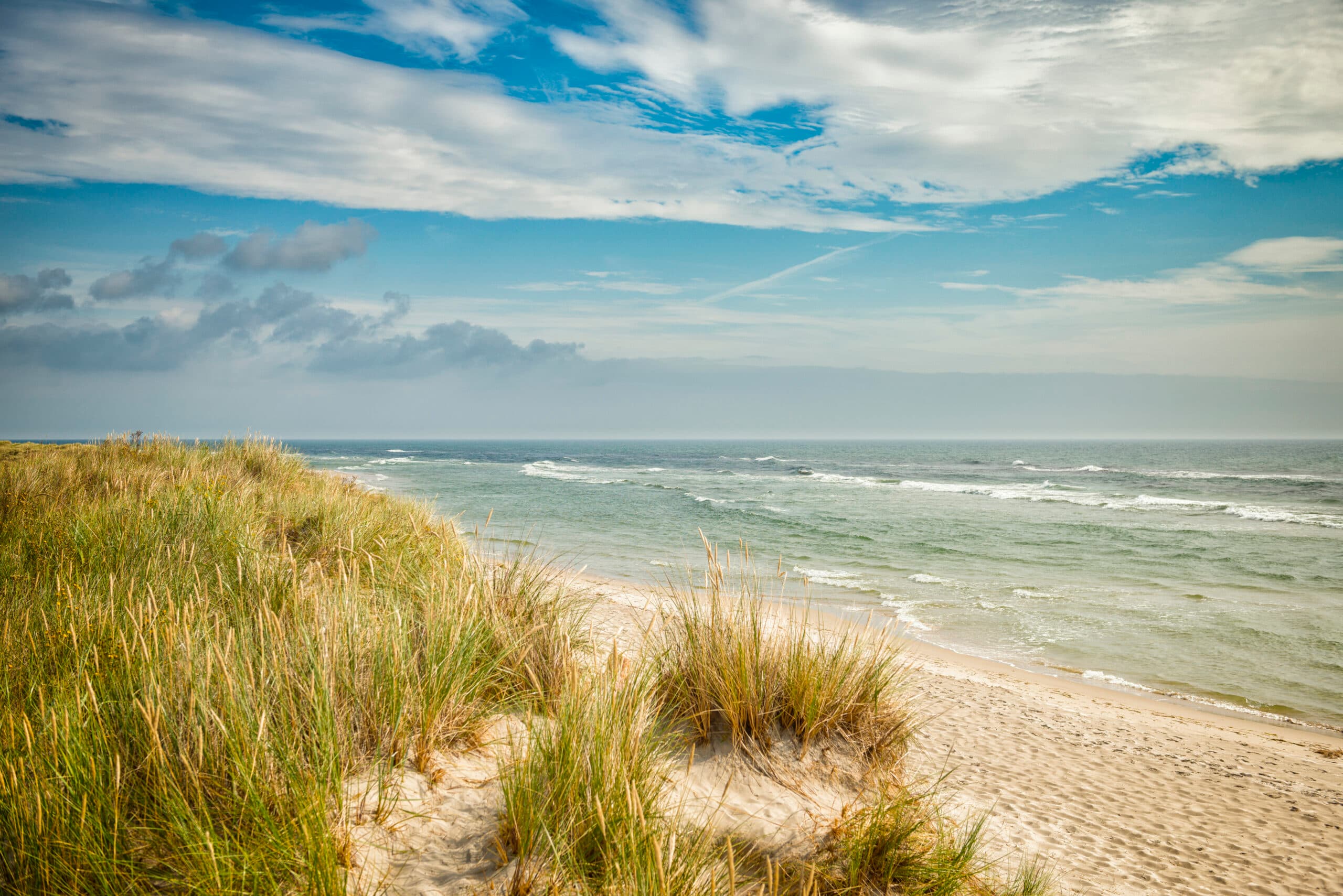 sandhammaren, strand, grästuva, sand, badstrand, strandskydd, grästuvor, bad, sommar, österlen, skåne,