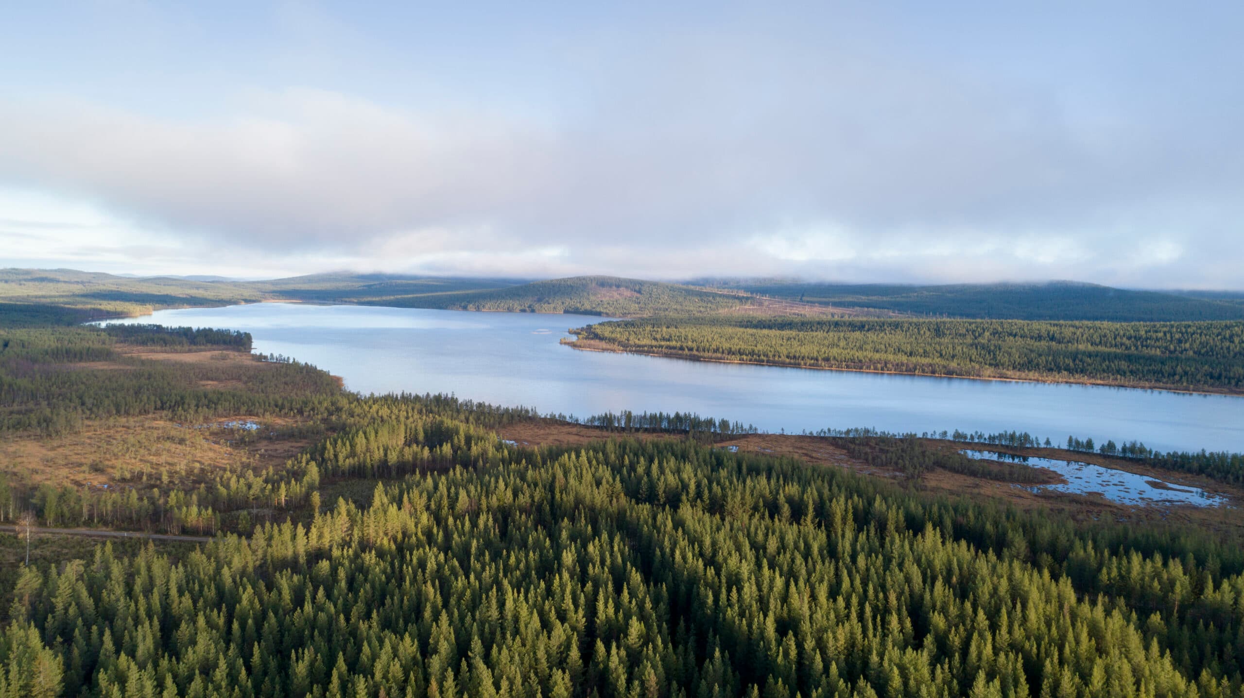 skog, blandskog, barrskog, Natur, Vatten, Sjö, Norrbotten, Laver