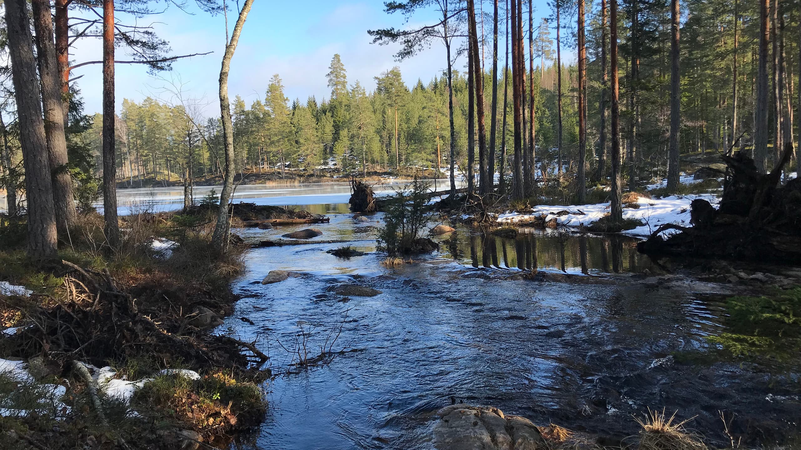 miljöfond, fond, miljömärkt, örebro, länsstyrelsen, hammarskogsån, myggsjön