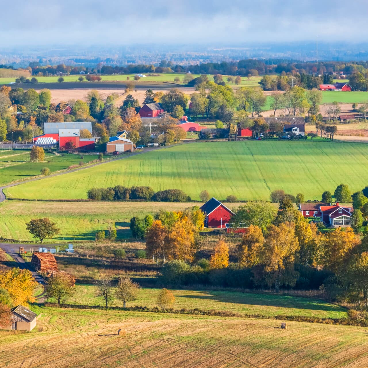 Swedish countryside view with farms and fields in autumn colours