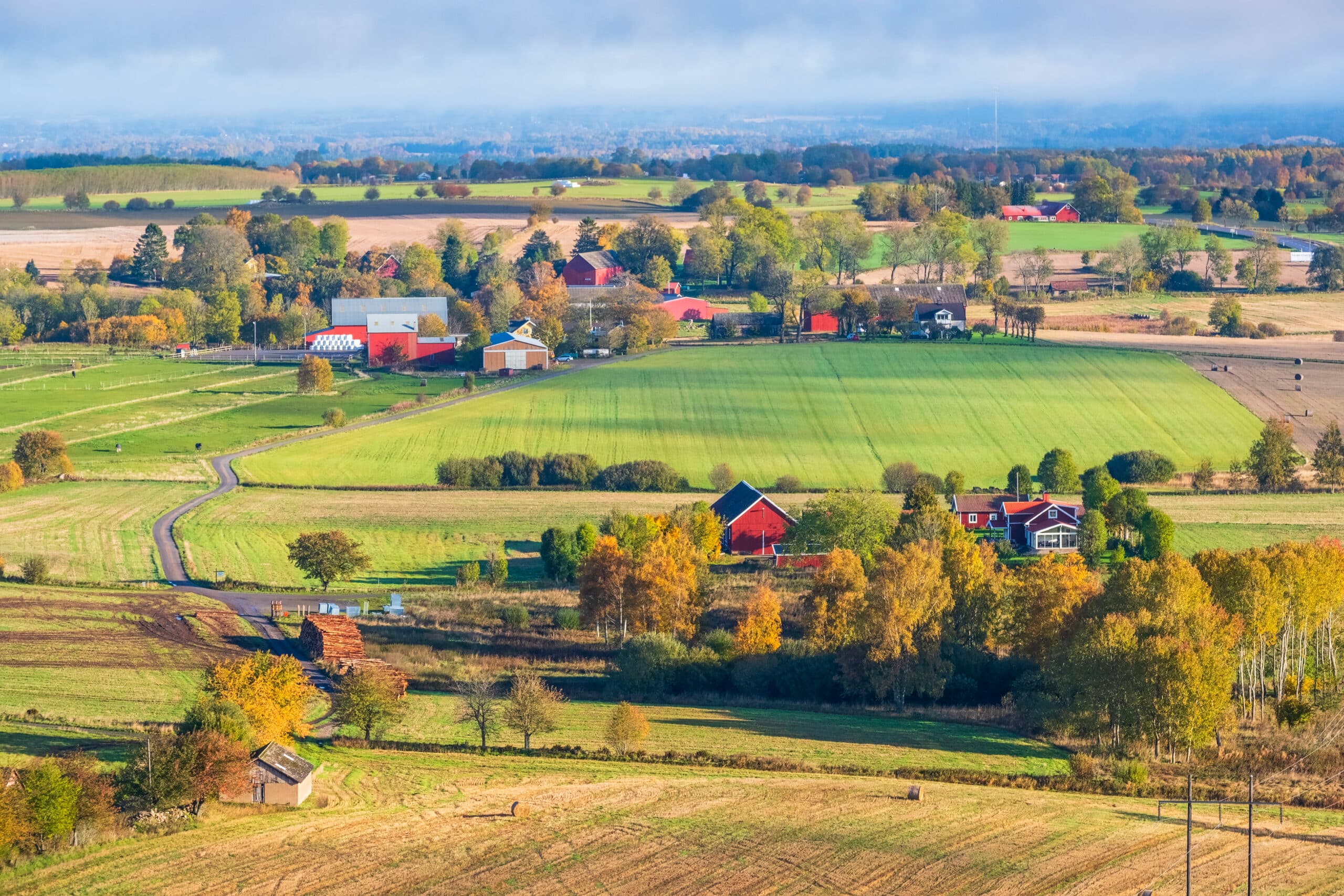 Swedish countryside view with farms and fields in autumn colours