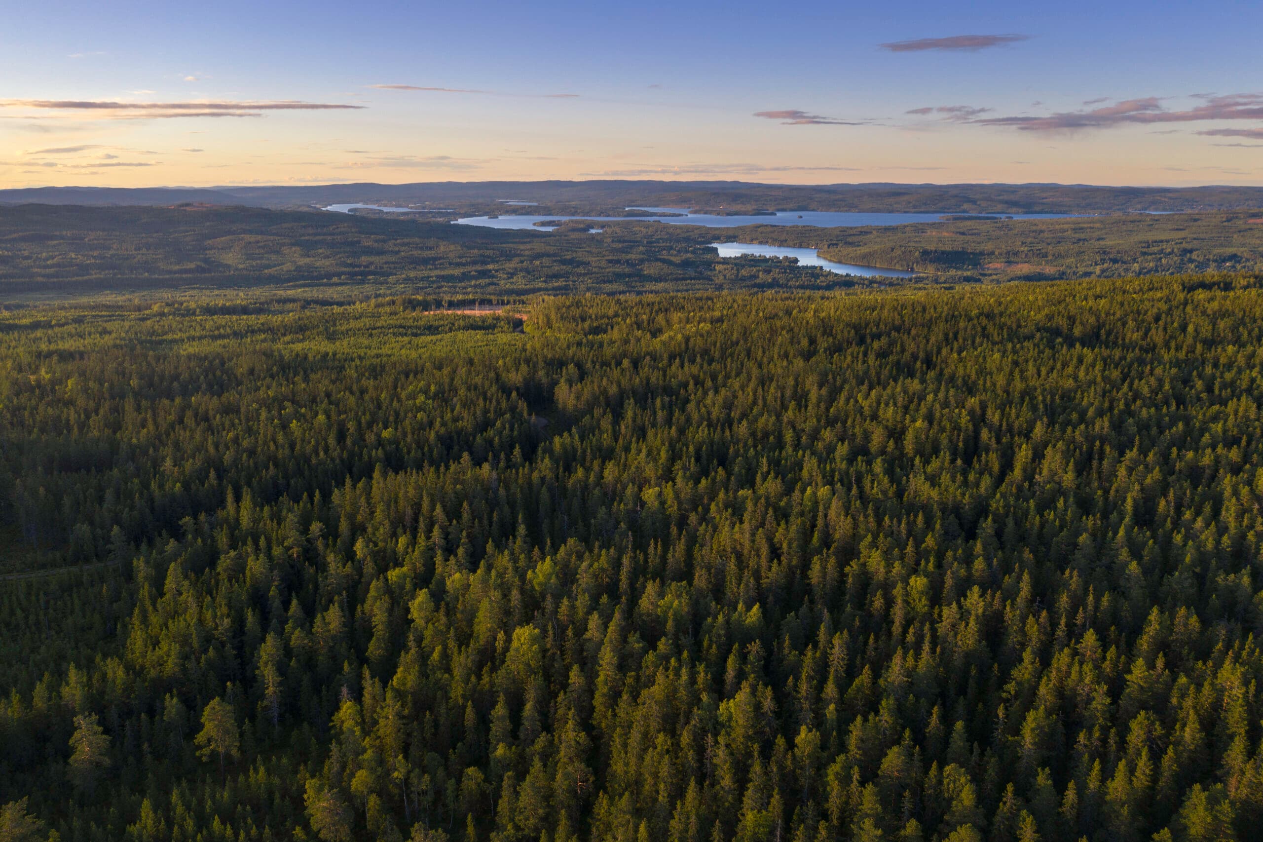 Drone view of a landscape with vast forests in the southern Dalarna region of Sweden.