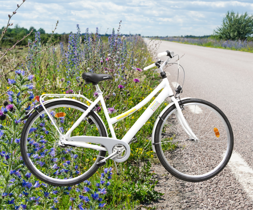 Cykel vid blommande vägkant