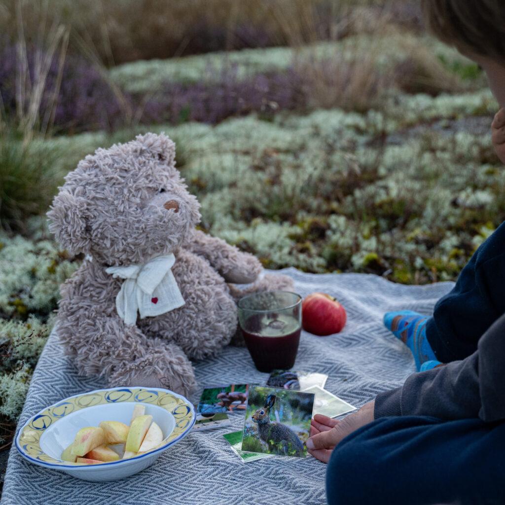 Picknick med gosedjur