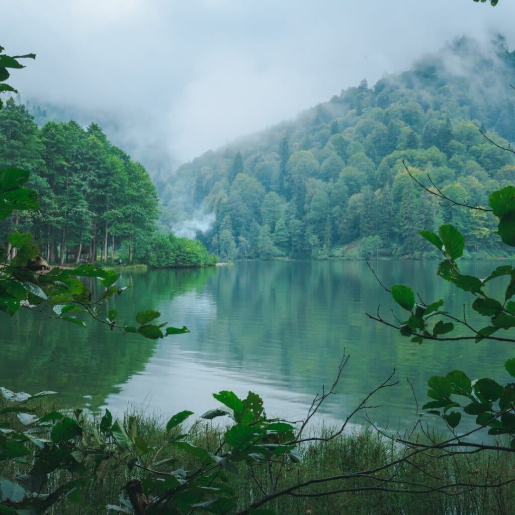 Costa Rica, Amazon River