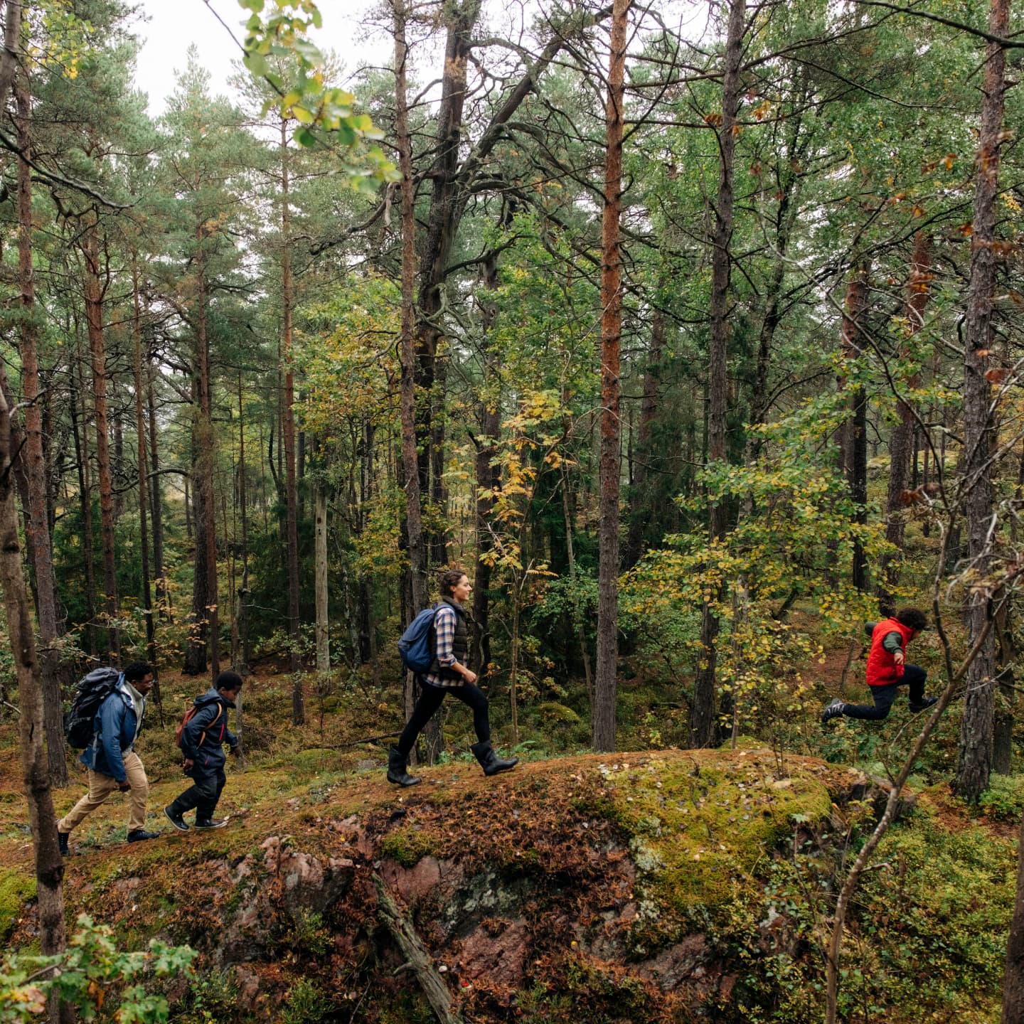 Familj på vandring i skog.