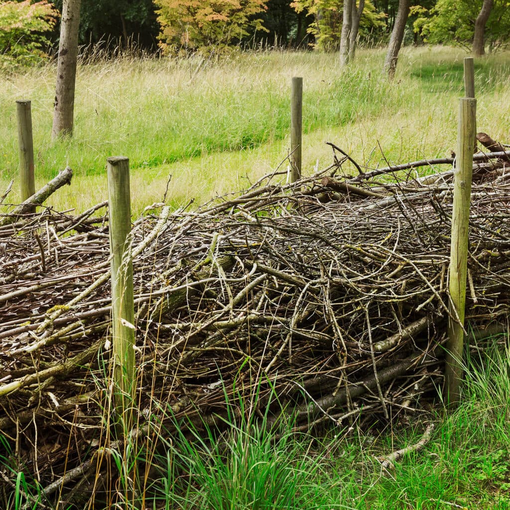 rishäckar, rishäck, risstaket, risvall, risvallar