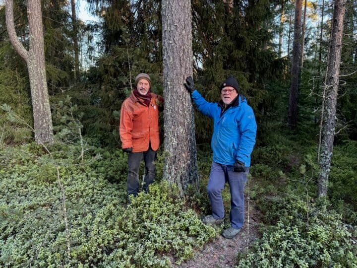 Lars Andersson och Hans Olsson har arbetat för en hyggesfri skogspolicy i Luleå kommun.