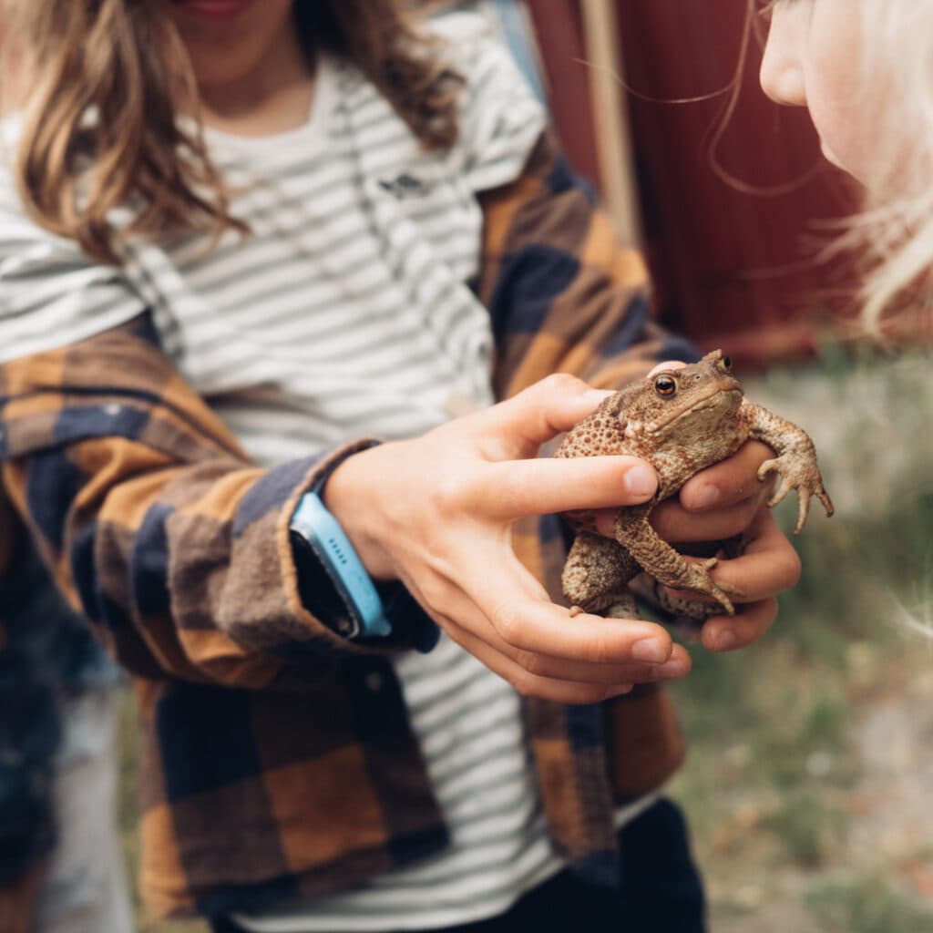 Bilden visar ett barn som håller en padda i sina händer. Andra barn står runt omkring och tittar på ...